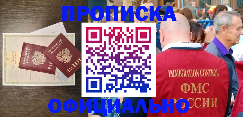 прописка 2025 в Сольцах
